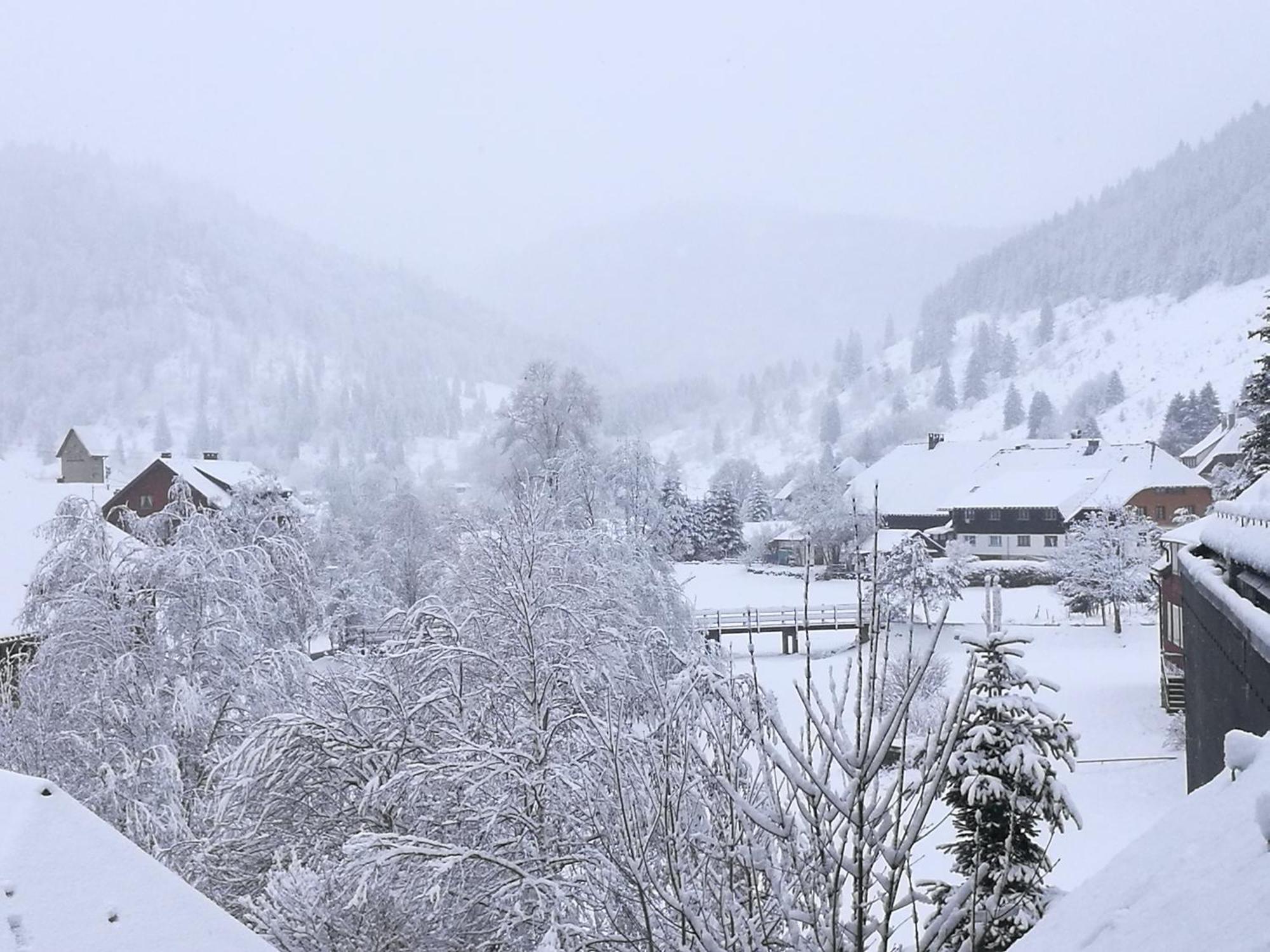 Naturidyll Am Fluss - Ferienhaus Albmatte - Grosser Garten Zum Grillen Und Entspannen-Direkt Neben Dem Radon Revitalbad Mit Sauna Und Thermalbecken ซังคท์บลาเซียน ภายนอก รูปภาพ