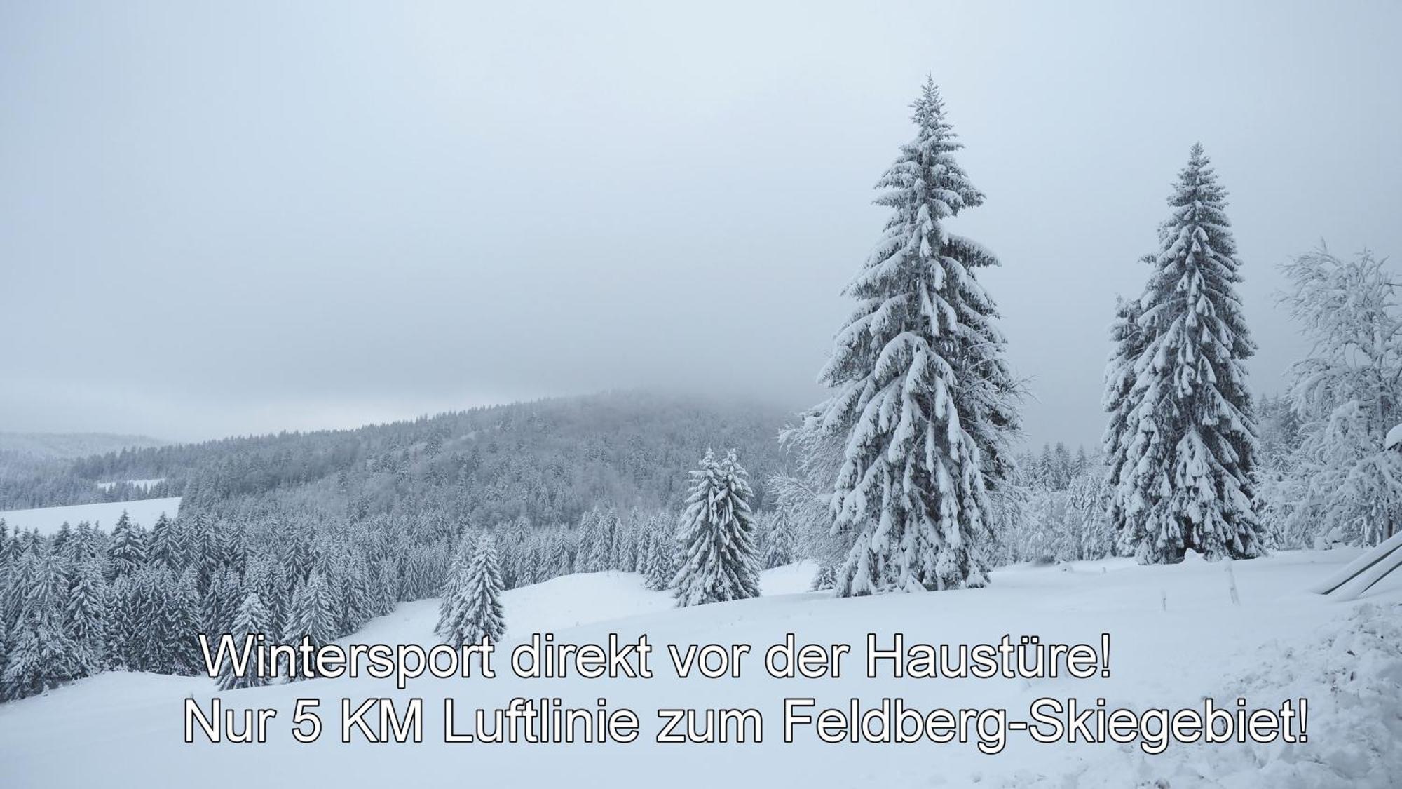 Naturidyll Am Fluss - Ferienhaus Albmatte - Grosser Garten Zum Grillen Und Entspannen-Direkt Neben Dem Radon Revitalbad Mit Sauna Und Thermalbecken ซังคท์บลาเซียน ภายนอก รูปภาพ